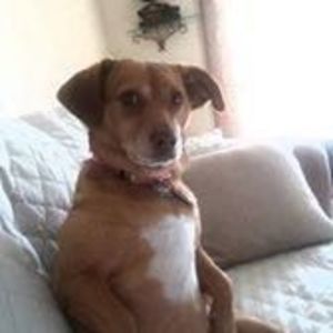 Meet your Posher, Danny